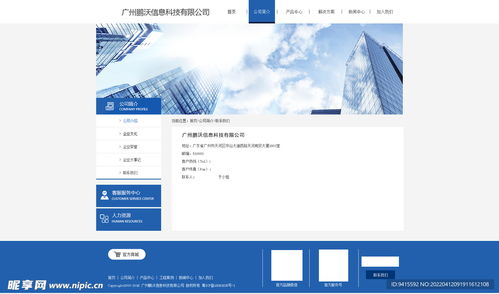 數(shù)字時代的企業(yè)形象與界面設(shè)計 從官網(wǎng)到電商平臺的視覺工程